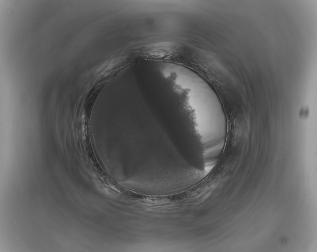 X0000097661394200803142121