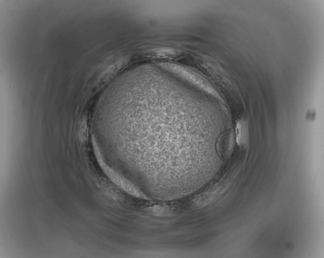X0000097661395200803142121