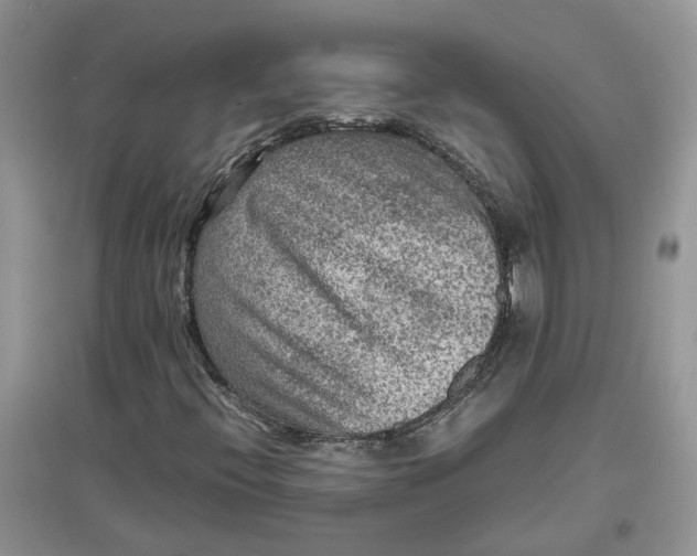 X0000097661396200803142121