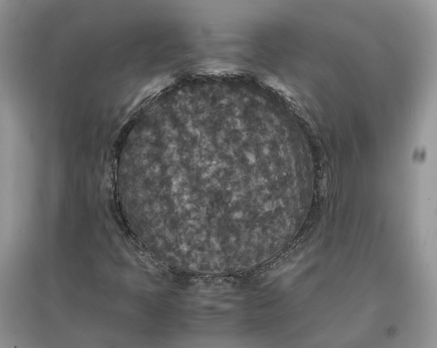 X0000097661397200803142121