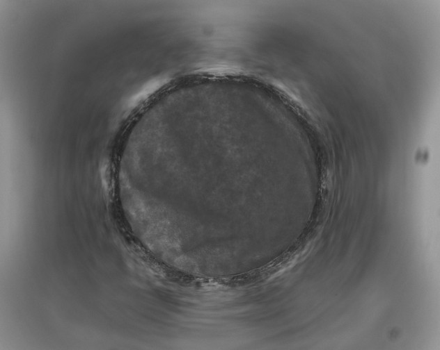 X0000097661398200803142121