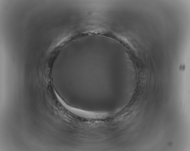 X0000097661399200803142121