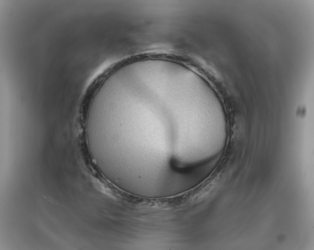 X0000097661400200803142121
