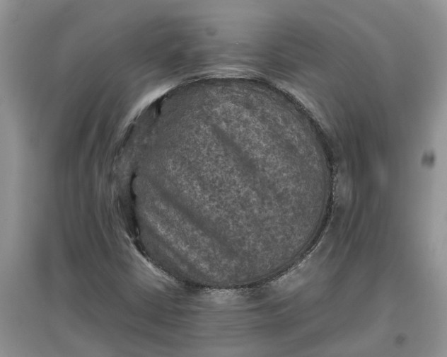 X0000097661402200803142121