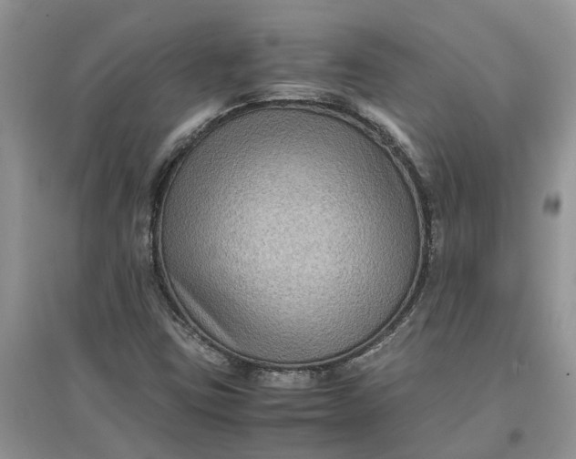 X0000097661403200803142121