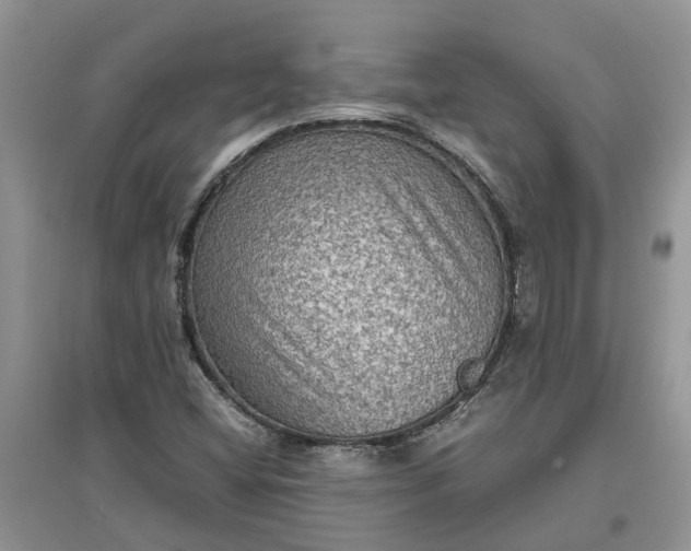 X0000097661404200803142121