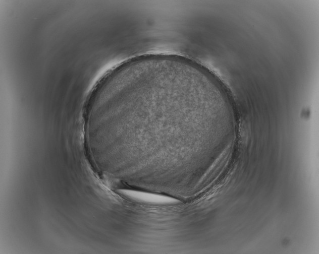 X0000097661408200803142121