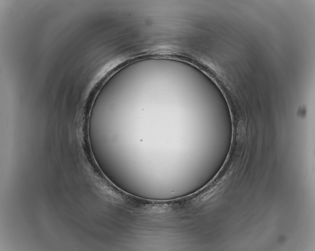 X0000097661410200803142121
