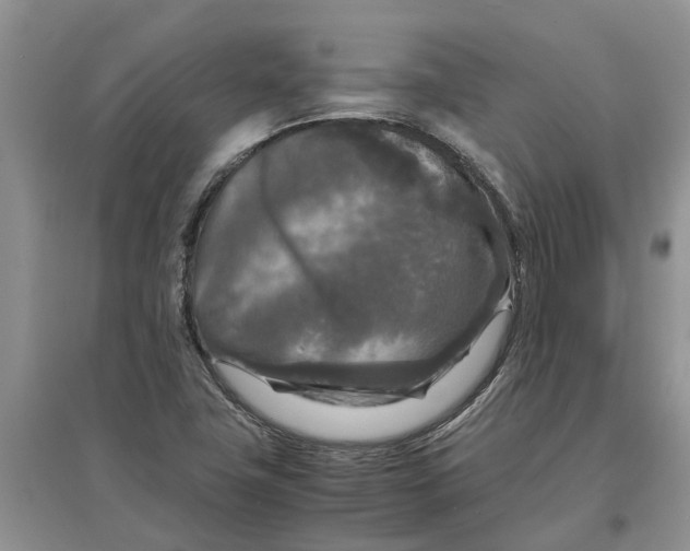 X0000097661411200803142121
