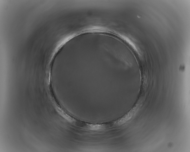 X0000097661413200803142121