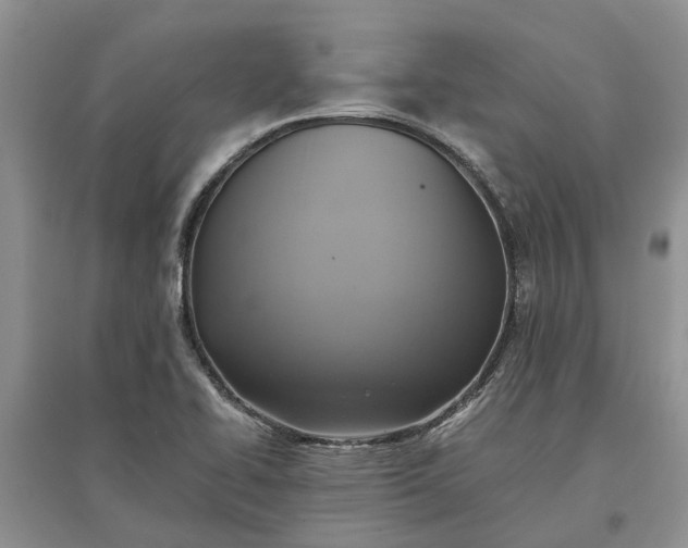 X0000097661414200803142121