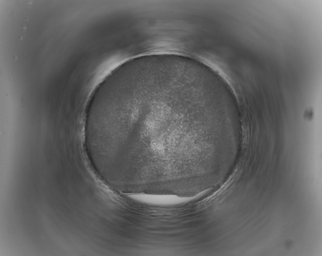 X0000097661415200803142121