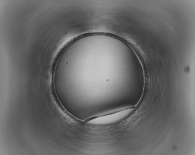 X0000097661416200803142122