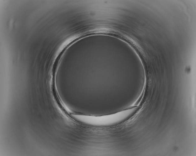 X0000097661418200803142122