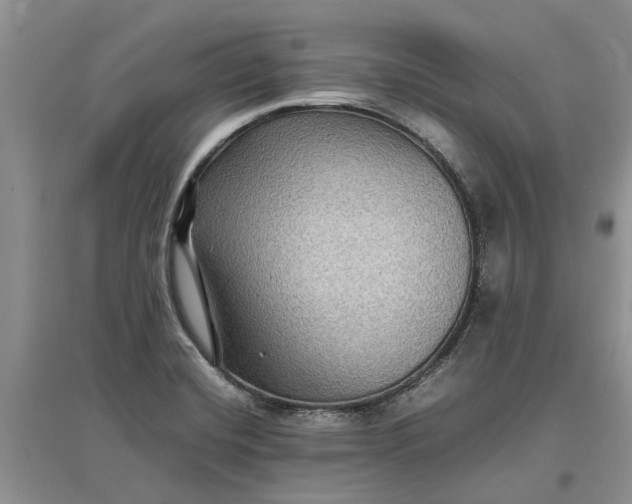 X0000097661420200803142122