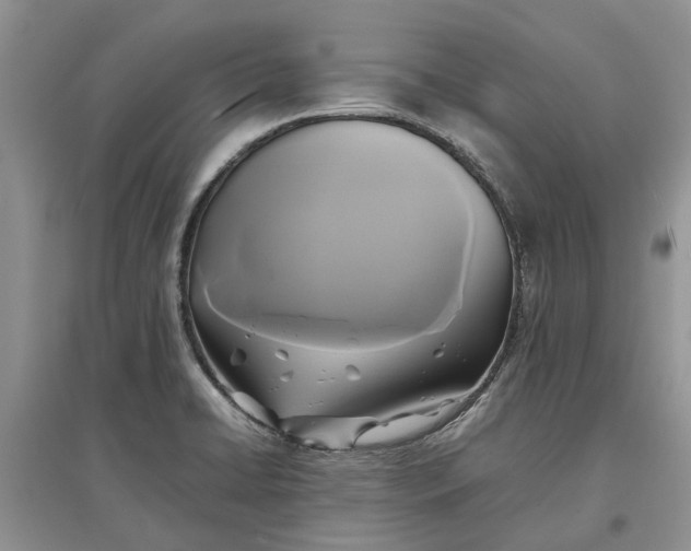 X0000097661422200803142122