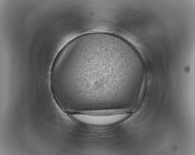 X0000097661423200803142122