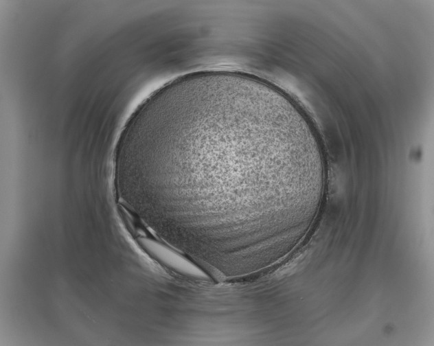 X0000097661424200803142122