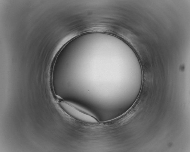 X0000097661426200803142122