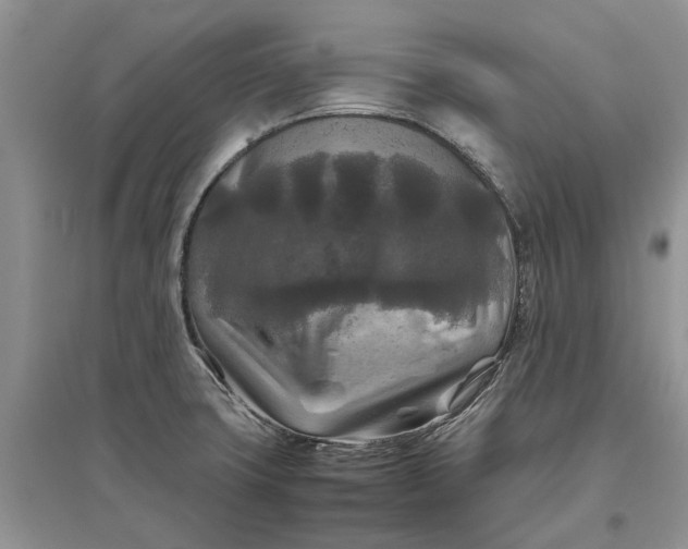 X0000097661427200803142122