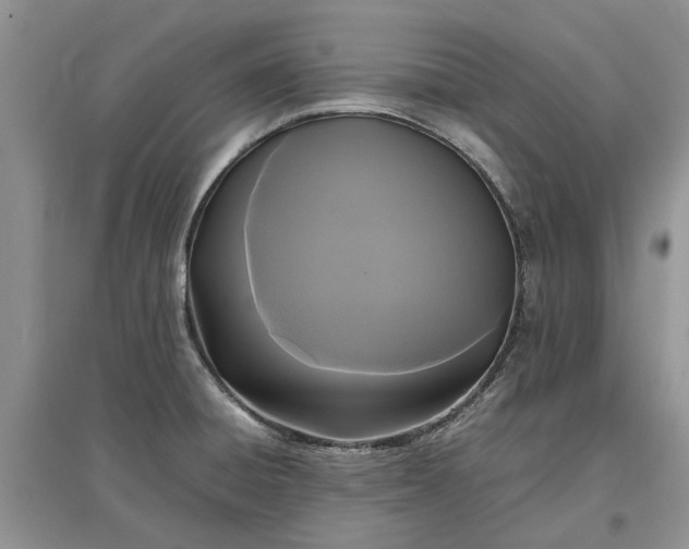 X0000097661428200803142122