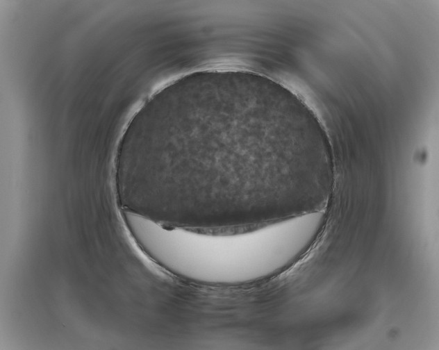 X0000097661429200803142122