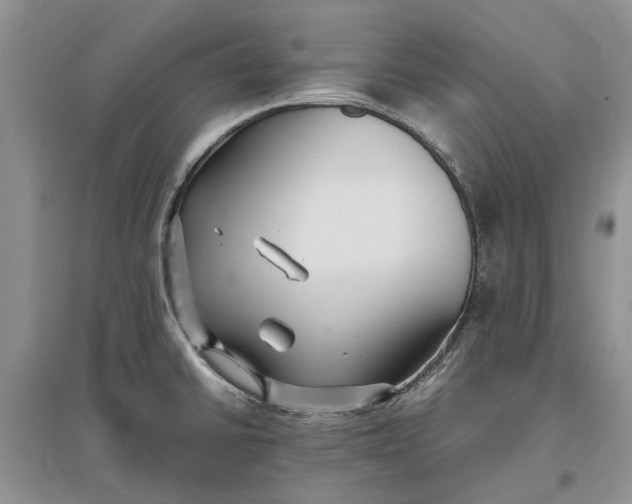 X0000097661430200803142122
