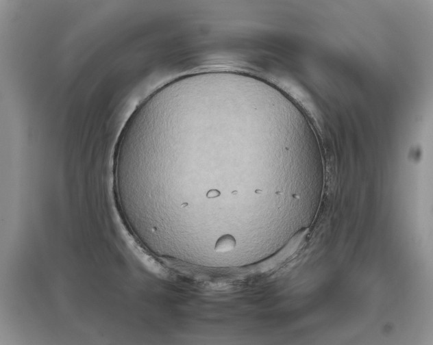 X0000097661431200803142122