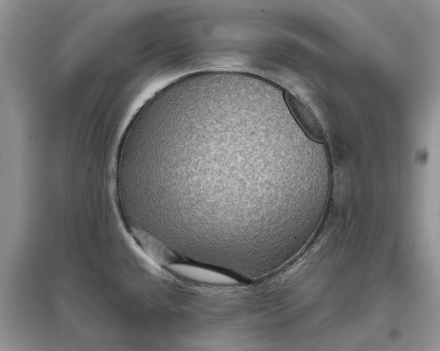 X0000097661432200803142122