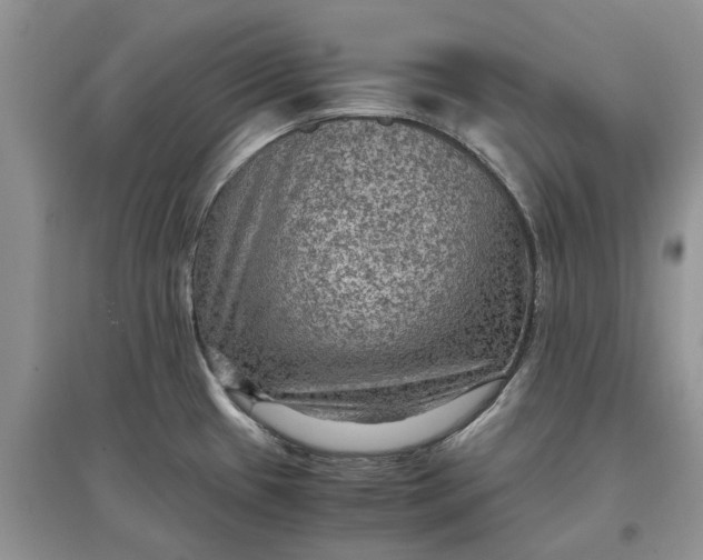 X0000097661433200803142122
