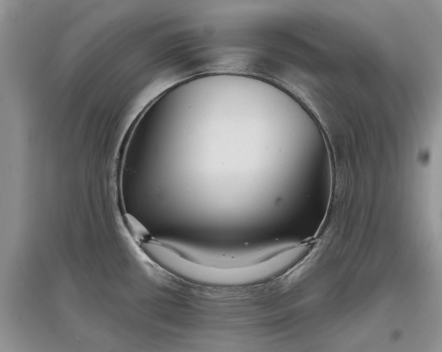 X0000097661434200803142122