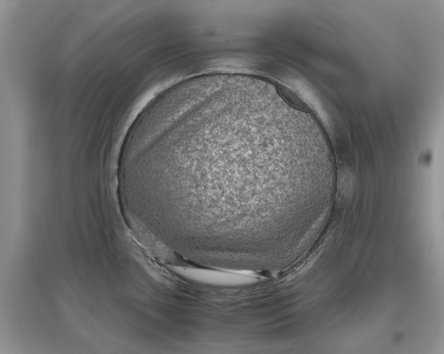 X0000097661435200803142122