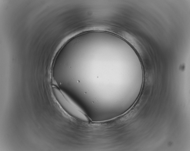 X0000097661436200803142122