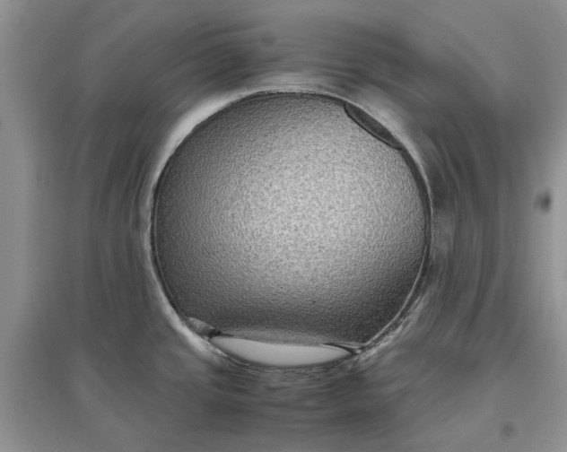 X0000097661437200803142122