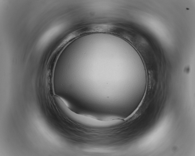 X0000097661438200803142122