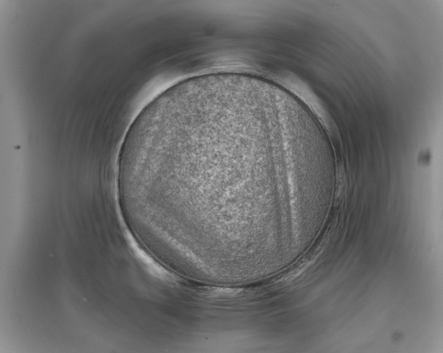 X0000097661439200803142122