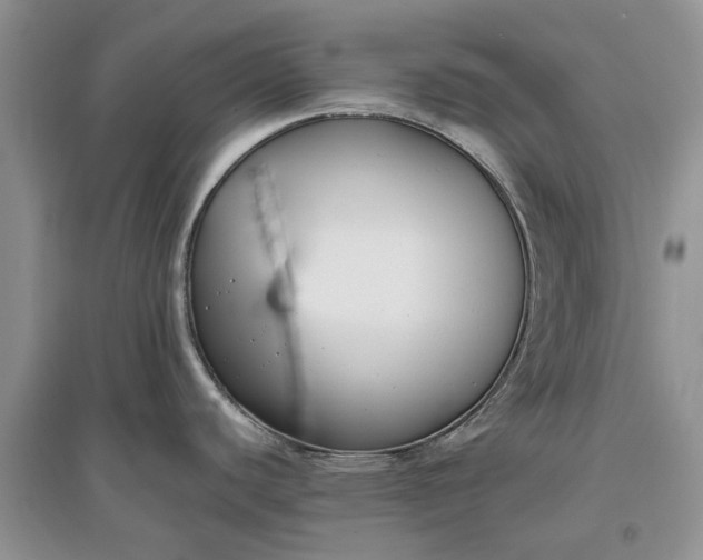 X0000097661440200803142122