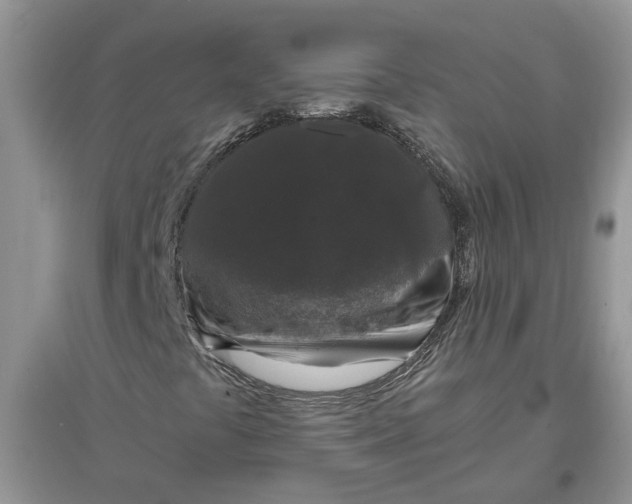 X0000097661441200803142121