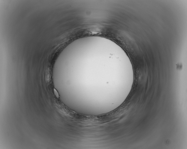 X0000097661442200803142121