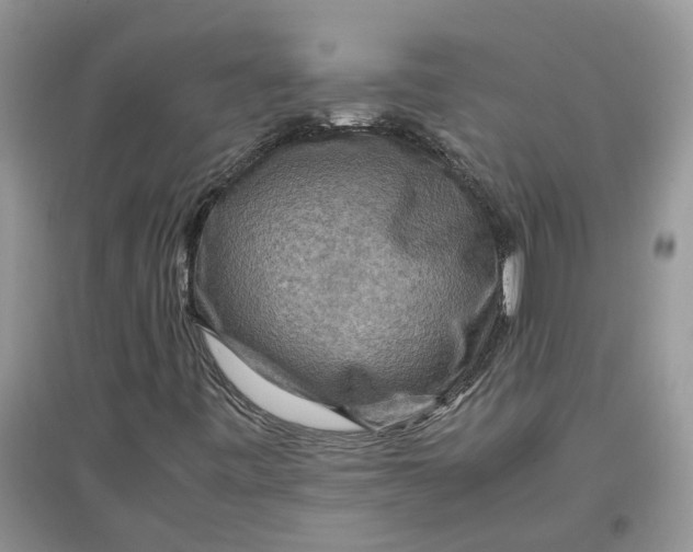 X0000097661443200803142121