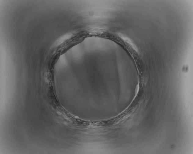 X0000097661445200803142121