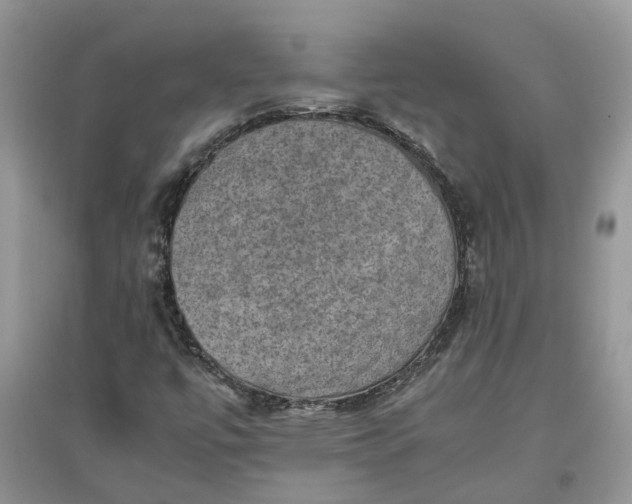 X0000097661447200803142121