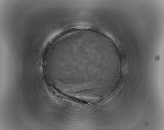 X0000097661448200803142121