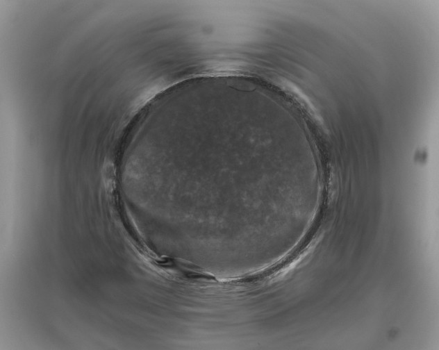 X0000097661449200803142121
