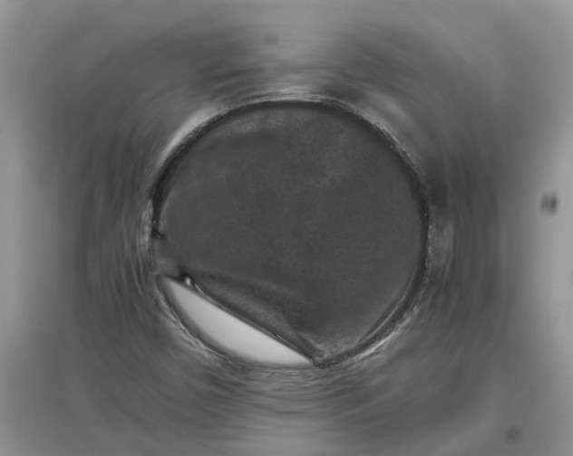 X0000097661450200803142121