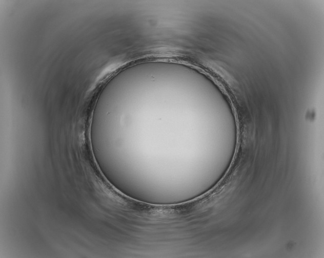X0000097661451200803142121