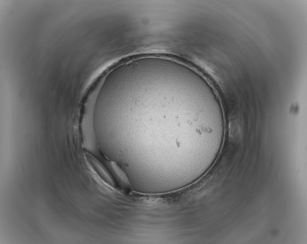 X0000097661452200803142121