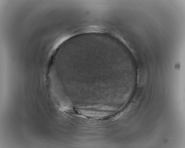 X0000097661453200803142121
