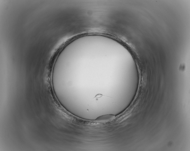 X0000097661454200803142121