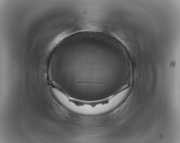 X0000097661455200803142121